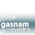 CEEES y Gasnam-Neutral Transport impulsarán el uso de combustibles alternativos en el transporte